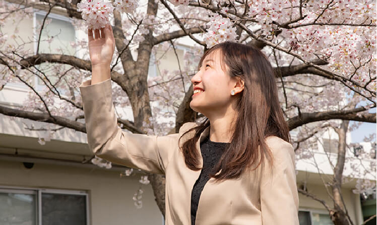 桜の木を見ている 広報グループ社員